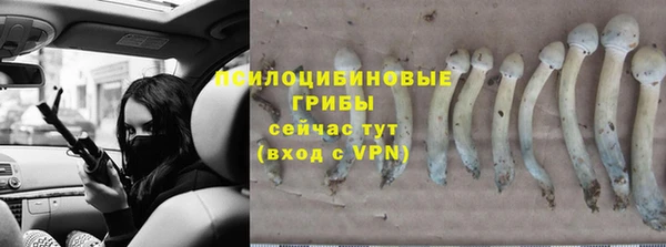 круглые Вязники
