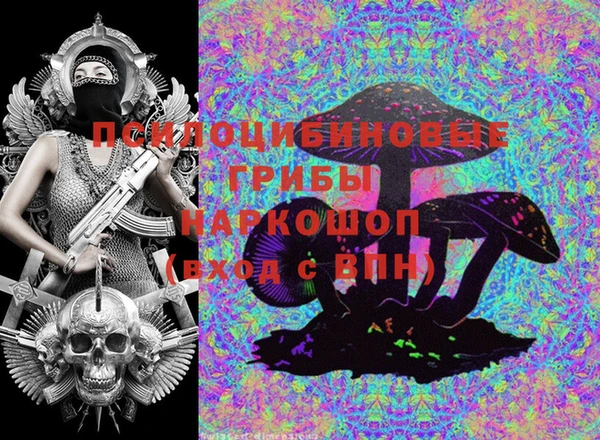 гидропоника Вяземский
