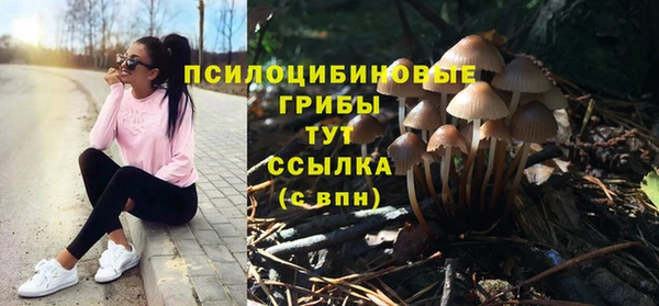 прущая мука Вязьма