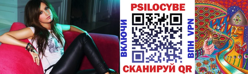 Галлюциногенные грибы MAGIC MUSHROOMS  закладки  Петровск-Забайкальский 