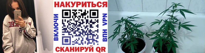 Канабис White Widow  Петровск-Забайкальский 